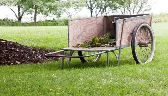 20 Most Common Gardening Tools Garden Cart