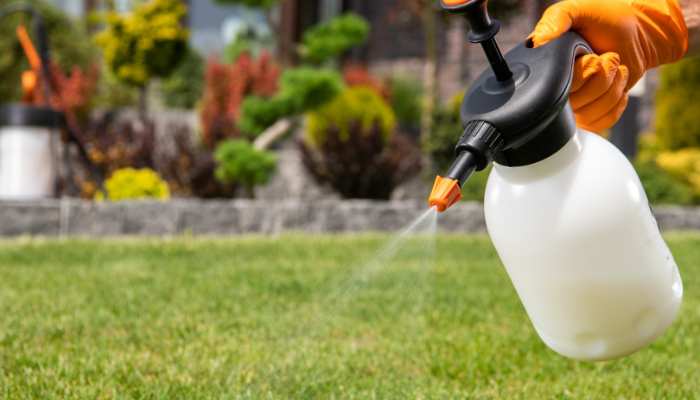 20 Most Common Gardening Tools Garden Sprayer