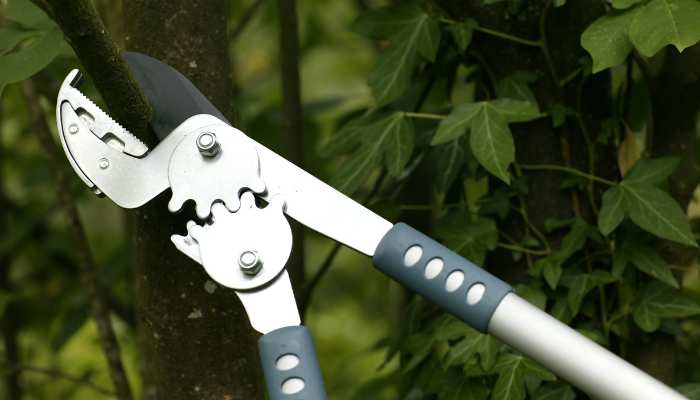 20 Most Common Gardening Tools Loppers