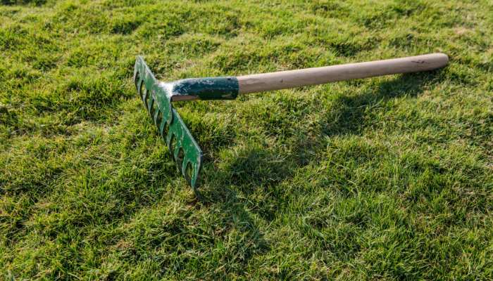 20 Most Common Gardening Tools Rake