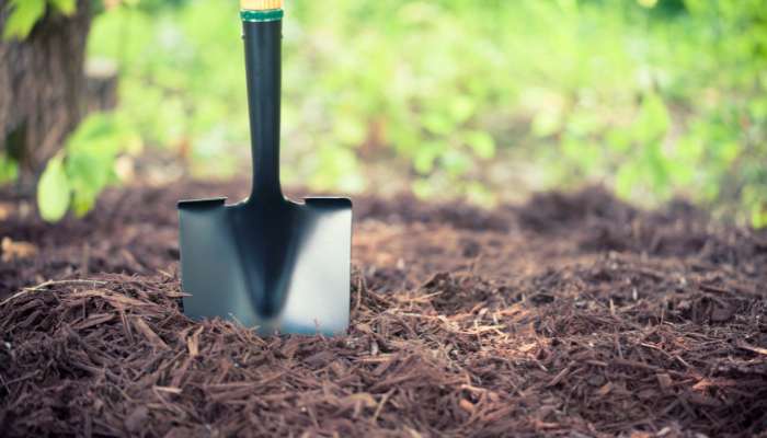 20 Most Common Gardening Tools Shovel