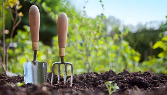 20 Most Common Gardening Tools Trowel