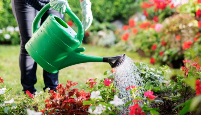 20 Most Common Gardening Tools Watering Can