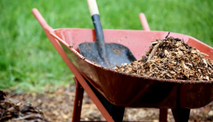 20 Most Common Gardening Tools Wheelbarrow