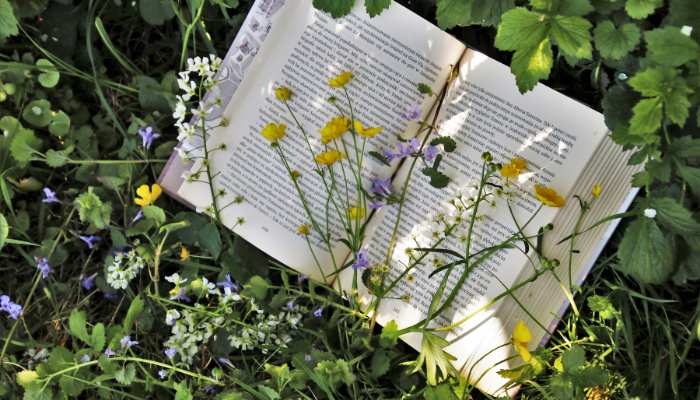 Best Urban Gardening Books in English