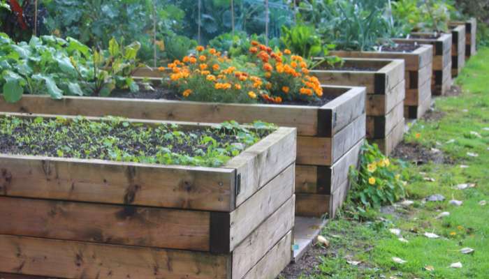 Container-Gardening