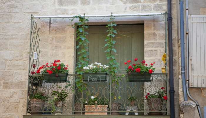 Gardening Ideas for Balcony