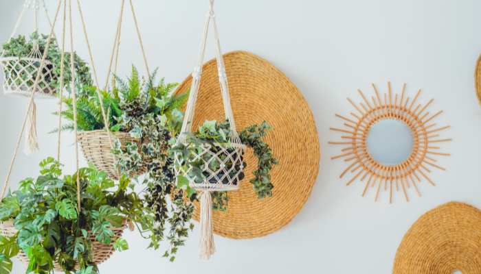 Hanging Plants For Balcony