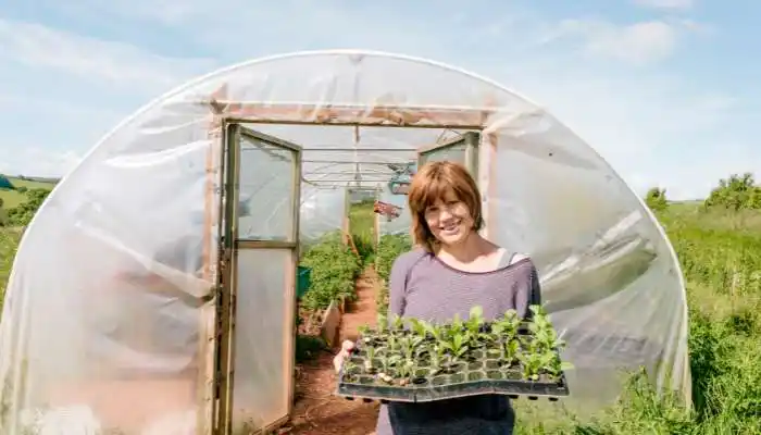 Market Gardening 