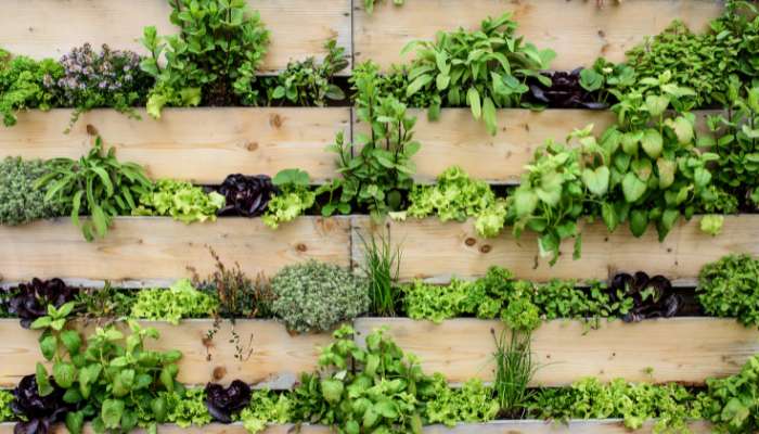 Vertical Gardening Ideas