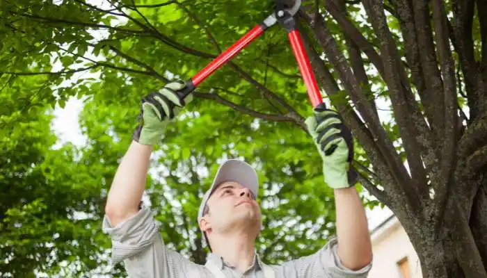 gardening-Pruning-Tools