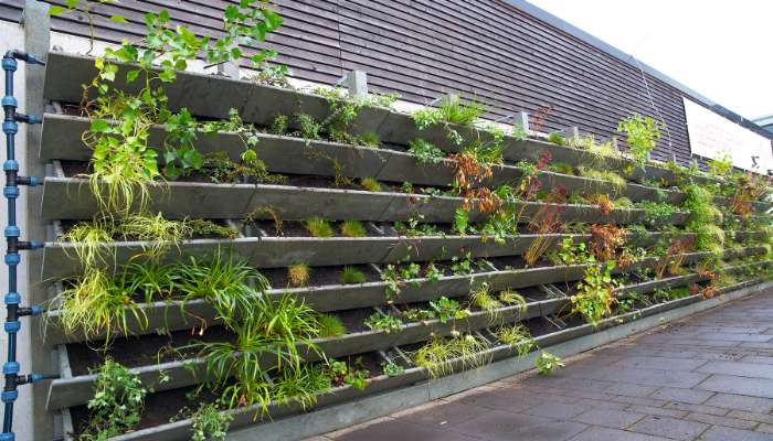 vertical-Gardening