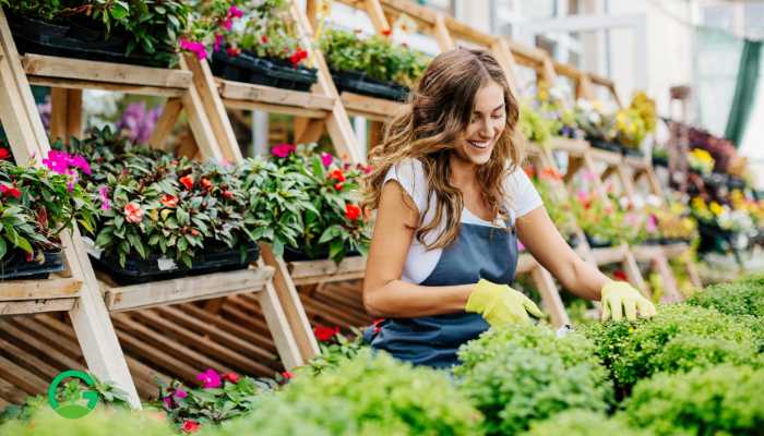 Retail Garden Center Design