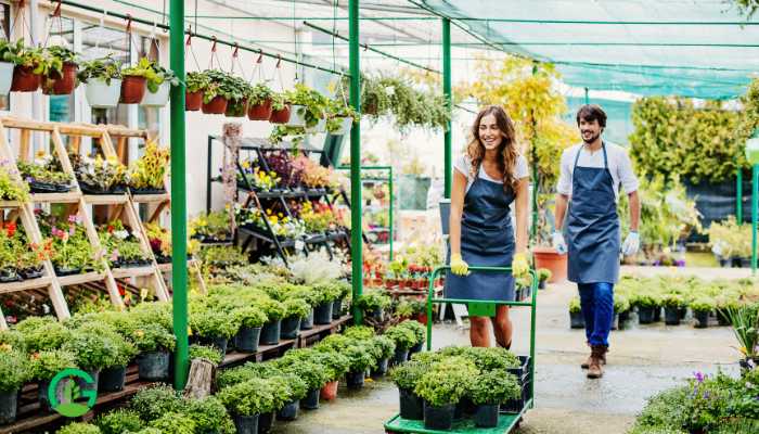 Retail Garden Center Design